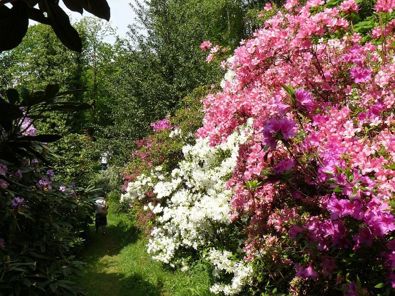 2008 05 Séjour à Martel 07